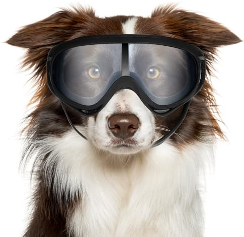 Hpmjz Dog Sunglasses Dog Goggles UV Wind Dust Fog Protection Pet Glasses Eye Wear for Medium to Large Breed Transparent Goggles Windproof Outdoor Riding with Adjustable Strap Easy Put-on Cool Black