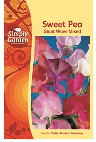 Simply Garden Sweet Pea Giant Wave Mixed Seeds Grow Your Own Flowers Plants