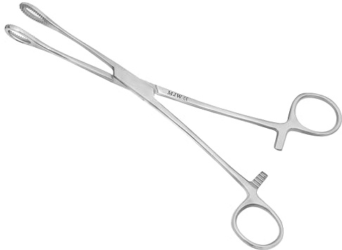 Sponge Forceps Closed Round Body Jewellery Piercing Holders Tool Professional Ring Opening and Closing Pliers Stainless Steel