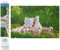 DIAMOND DOTZ Painting Kit: Intermediate, DD12, Mother Swan & Signets, 62 x 41cm, DD12.058