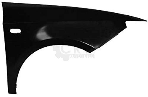 Kotflügel Fender rechts für Ibiza Bj. 08->>