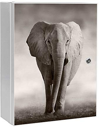 banjado Medizinschrank abschliessbar mit Motiv Joseline 35x46x15cm - großer Arzneischrank für die Hausapotheke - Medikamentenschrank aus Metall zur Medikamenten Aufbewahrung