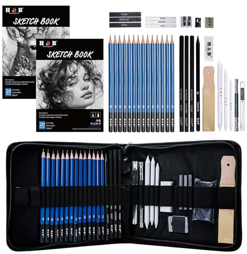 H & B Kit de arte con libros de bocetos, lápices de dibujo y carbón, borrador, sacapuntas, extensor y estuche de lona para artistas y principiantes