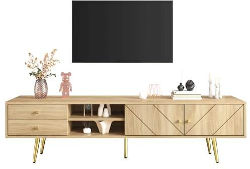 LERFAN TV-skåp underhållningscenter 160 cm med guldfötter, två lådor och unikt utformade dörrar