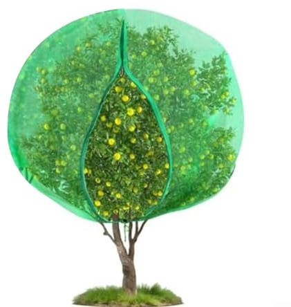 Trayne Red de malla de jardín para plantas, barrera de insectos y pájaros, malla con cordón para árboles frutales, arbustos, arbustos, protección (1,8 x 2,2 m)