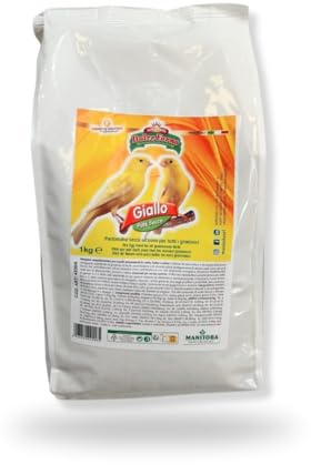 DOLCE FORNO GIALLO SECCO MANITOBA | alimento per uccelli, pastoncino secco con uovo per uccelli ornamentali da canto, forma e colore, 1 confezione da 1kg.