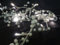 Christmas Concepts® 2M Beaded Garland 20 Warm White LED Lights (Pearl)