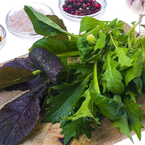 400 Oriental Mixed Vegetable Organic Seeds Red Giant Mustard, Green Giant Mustard, Green Pak Choi, White Pak Choi, Mizuna & Tatsoi Tah Tsai