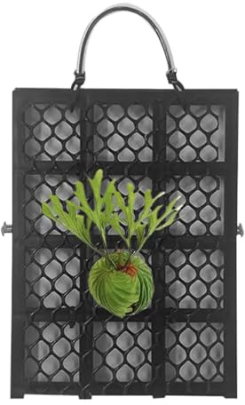 Vhjlfig Staghorn - Étagère murale - Support vertical pour grimpantes - Orchidées platycérium - Support pour grimpantes - Décoration de jardin et de maison - Pour salon, balcon, bureau