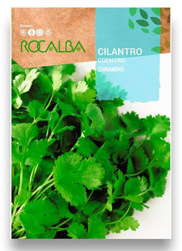 Semillas Cilantro o Perejil Árabe PROFESIONAL | Sobre 10 Gramos | Cultiva con tus semillas de Cilantro la mejor hierba aromática para tus platos | Producción Abundante | Rocalba | Nexum Market