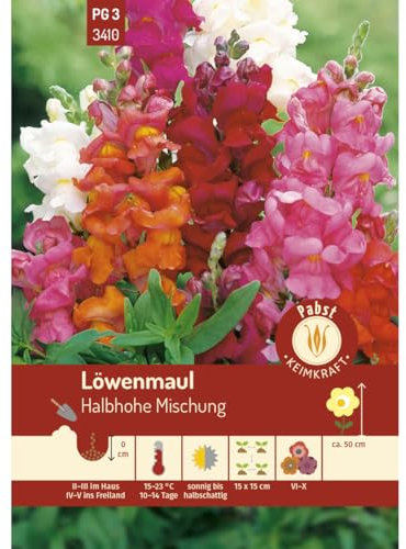 Pabst Keimkraft - Löwenmaul Halbhohe Mischung Samen - 173410