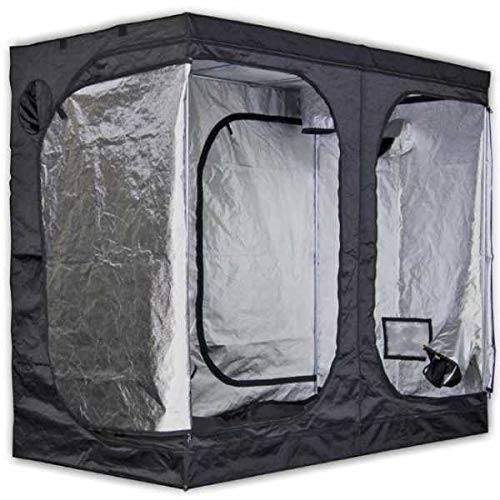 MAMMOTH PRO 240L - 240x120x200cm - Grow Box