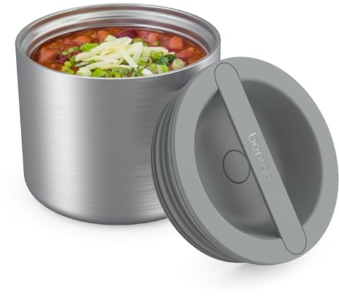 Bentgo Stainless Insulated Food Container - 2.4 Cups (19 oz), Triple-Layer Insulation, Vacuum Seal, Leak-Proof, Built-In Handle, Wide Opening, Premium Stainless Steel, for Cool/Warm Foods (Steel)