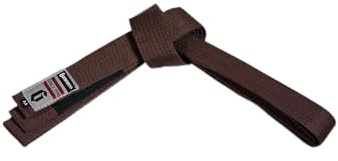 Gameness Adult Jiu Jitsu Ultra-Light Competition Belt | Competition Grade BJJ Belt for Beginners and Experts Brown A2