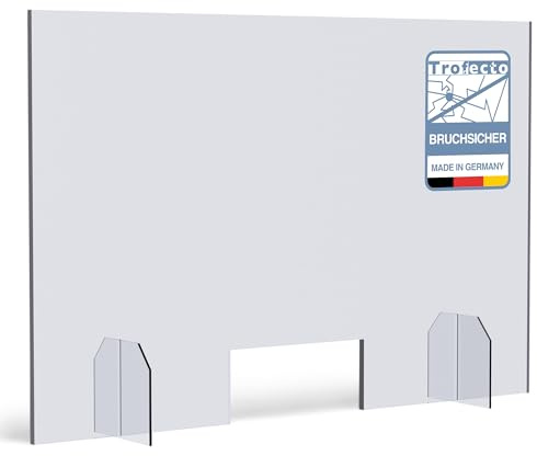Trofecto Protección antisaliva con pasajes de vidrio acrílico PETG como accesorio para mostrador, placa de cristal acrílico, tipo 5 (100 x 80 cm, grosor 5 mm)