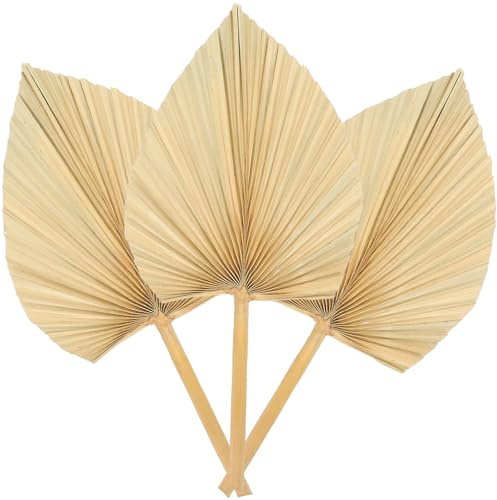 HOODANCOS Abanicos De Palma Secos 3 Unidades para Decoracion Natural En Bodas Y Eventos Al Aire Libre