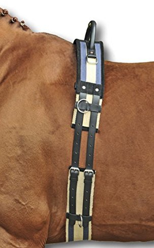HKM Pferde Longiergurt mit Haltegriff – Gurt zum Longieren aus besonders strapazierfähigem Canvas-Material und Strupfen aus Leder | Ausführung: Pony (Dunkelblau-Beige)
