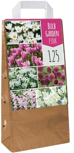 Jardin de bulbes Tulipe rose Allium Crocus Chionodoxa Allium Narcisse Bulbes à fleurs (125 bulbes)