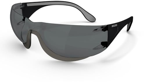 Moldex ADAPT 2K Lunettes de protection solaire 140201