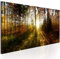 B&D XXL - Wandbilder XXL Wald 150x50 cm 1 tlg - Wand Deko Vlies Leinwand Bilder Groß Wanddeko Wohnzimmer Schlafzimmer Kunstdrucke Panoramabild - Waldlandschaft Natur Panorama Baum