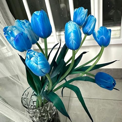bulbos de tulipán, perenne resistente, acónito invierno, perenne resistente tulipán ación primaveral, decoración exóticas 8pcs