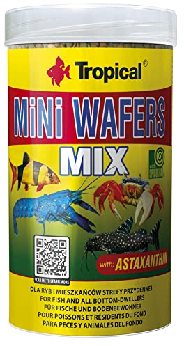 Tropical Mini Wafers Mix Mini Chips für Bodenfressende Zierfische, 1er Pack (1 x 250 ml)