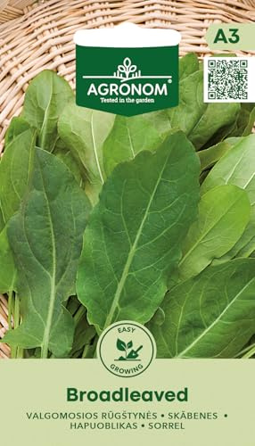 AGRONOM | Acedera - HOJA ANCHA semillas | Semillas de hortalizas | Semillas de plantas | Semillas de acedera | Perenne, una de las verduras de hoja más tempranas |1 paquete