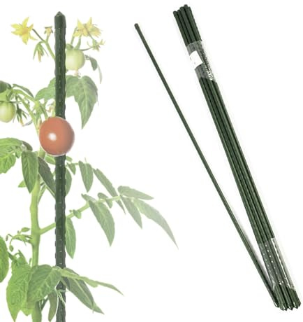 Floordirekt Rankhilfe Pflanzstäbe 180cm 10 Stück für Kletterpflanzen, Tomaten, Gurken oder Blumen Pflanzenhalter Rankstab Stange Kletterhilfe aus Metall für Zimmerpflanze, 16mm