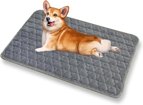 DeBizz Hundebett Mittelgroße Hunde, 70 x 50 cm Grau Hundedecke, rutschfeste Unterseite Hundekissen, Waschbar Hundematte, Flauschige Hundebetten für Mittlere und Kleine Hunde (Grau)