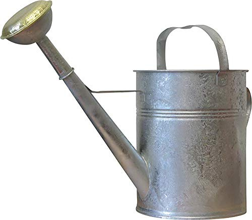 Gießkanne 10 l Blech