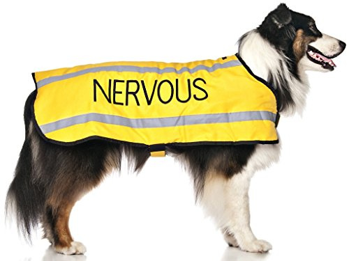 Dexil NERVOUS (Give Me Space) Yellow Colour Coded S M L Reflective Waterproof Fleece Lined Warm Dog Coats PREVENTS Accidents By Warning Others Of Your Dog In Advance (L-XL)