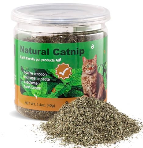 TZL Erba Gatta Naturale, Utilizzata Come Snack per Riempire i Giocattoli dell'erba Gatta, Nepitella Biologica, Delicatamente Sigillata e Confezionata Per Una Facile Conservazione (40g)
