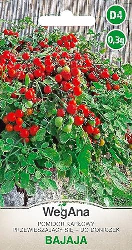 WegAna Tomate Bajaja Graines de tomate 0,3g, graines de légumes robustes, graines de légumes, graines de culture, graines pour la serre