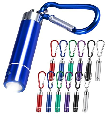 Mein HERZ Mini LED Taschenlampe, 12 Stück Schlüsselanhänger mit LED-Licht, Geeignet für Mitbringsel Kindergeburtstag