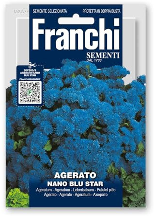Agerato nano Blu Star in sementi per uso hobbystico confezionate in doppia protezione