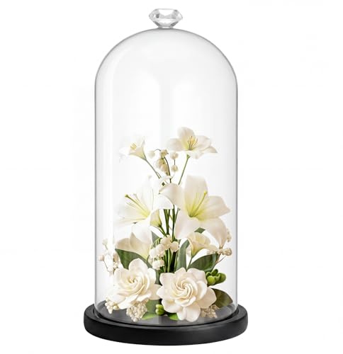 Suclain 1 Pcs Glass Cloche Dome with Wood Base Diamond Handle,Black