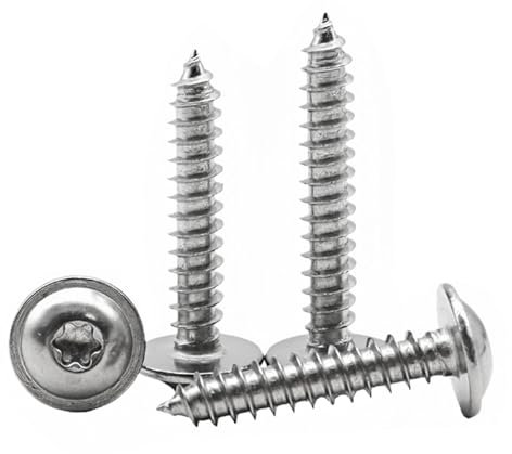 FandWay Torx Vis Autotaraudeuses à Tête Ronde Avec Rondelle M4x8/12/16/20/25mm,Acier Inoxydable 304 Vis à Bois,Vis à Tête Bombée,Vis à Tôle Autoperceuses Entièrement Fileté (20 pièces/chacune)