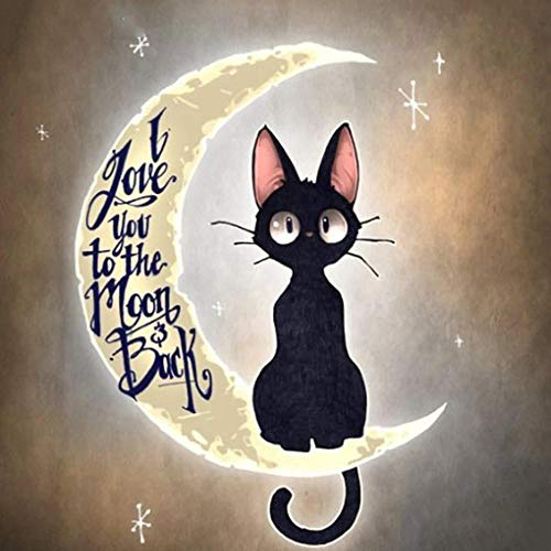 Puzzles 5000 Teile, Ballon Landschaft Rahmenpuzzle, Puzzle Spiel Geschenk, DIY Puzzle Würfel Katze auf dem Mond Impossible Puzzle, Geschenk Geschicklichkeitsspiel für die Ganze Familie