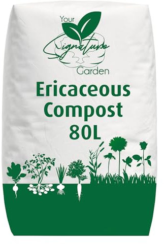 Laeto Ericaceous Compost | Organic Acidic Potting Soil for Outdoor Plants | Ideal for Azaleas, Rhododendrons, Blueberries, Camellias & Citrus | Recyclable Bag 80L