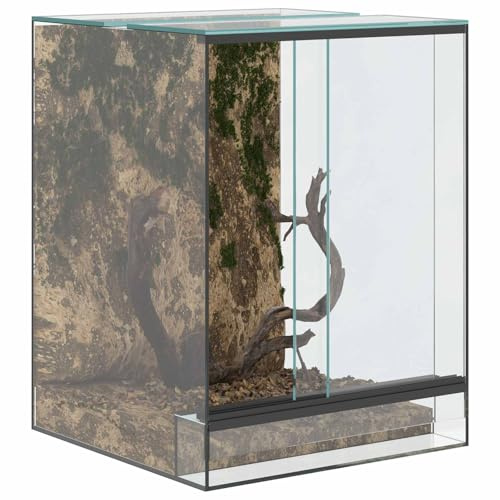 vidaXL Terrarium avec Stockage Transparent 30 x 30 x 40 cm Verre