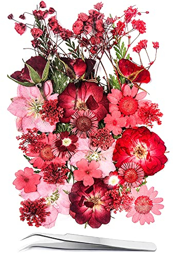 YoothBro 15 Verschiedene Arten von 37 Stück Rosa Getrockneten Gepressten Blumen für Harzformen. Echte, natürliche gepresste Blumen für DIY-Kunsthandwerk, Kerzenherstellung, Nageldekoration