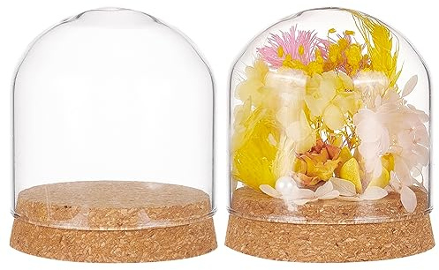 BENECREAT 2 Set Glass Display Dome with Cork Base, 3.1x2.8 inch Tabletop Centerpiece Cloche Bell Jar for Flower Plants, Specimens, Crafts Decorations, Inner Diameter: 76mm