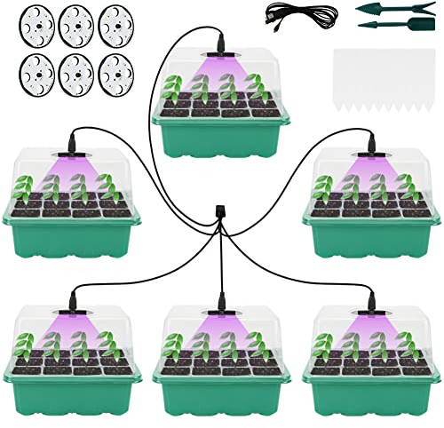 ConBlom Zimmergewächshaus Anzuchtkasten mit Pflanzenlampe, 6 Stück Anzucht Set Mini Gewächshaus mit Timing-Controller einstellbare Helligkeit, verdicken Gewächshaus mit Deckel und Belüftung