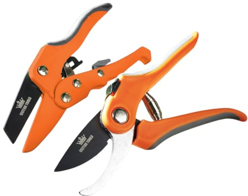 Coopers of Stortford - Secateurs Pack of 2 - Bypass & Ratchet Anvil - Carbon Steel Blades - Comfort Handles - 19.5cm/17cm