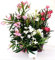 POWERS TO FLOWERS - TRIS OLEANDRO, BIANCO, ROSA E ROSA INTENSO, vaso 15cm, piante vere