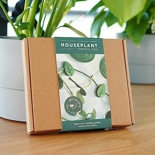 Bubblegum Stuff - Houseplant Climbing Clips - Garden Tools, Home Accessories, Garden Gadgets, Indoor Gardening, Indoor Plant - Reusable Climbing Clips