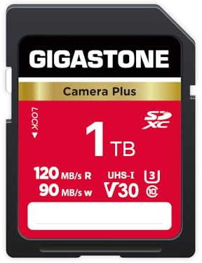 GIGASTONE 1TB SD Card, Camera Plus, Speed up to 120/90MB/s, U3 SDXC Ultra HD UHD Video for DSLR, Camera Canon, Nikon, Sony, Pentax, Kodak, Olympus, Panasonic, with 1 Mini Case