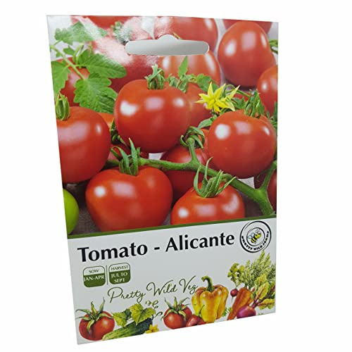 Alicante Tomato Seeds in Pictorial Packet from UK Seller