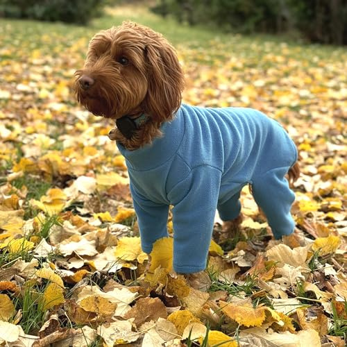 Warm Four-Legged Dog Fleece – Super Soft, Weather-Resistant (Teal, Medium)