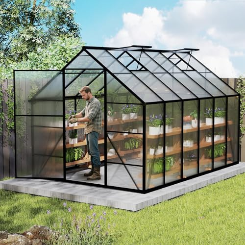Aufun Premium Greenhouse Aluminum, 7.63 m2 Garden Greenhouse with 6cm Base & 4mm PC Plate Greenhouse Tomato House Garden House UV Resistant Weather Resistant Garden Resistant 305 x 250 x 205 cm